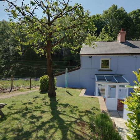 Lilac Cottage Parkend Zewnętrze zdjęcie