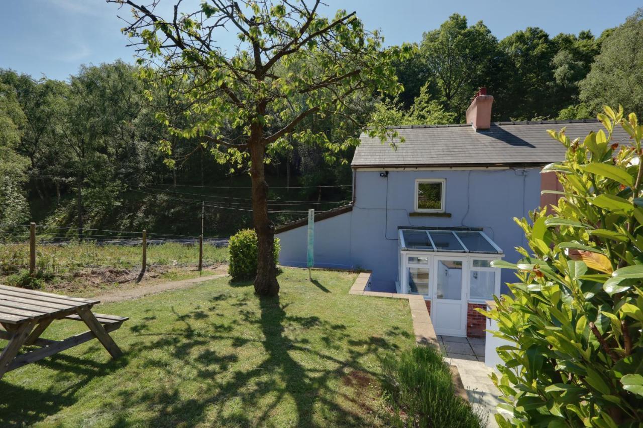 Lilac Cottage Parkend Zewnętrze zdjęcie