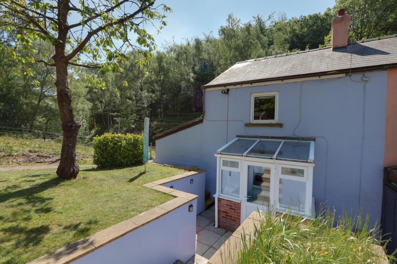 Lilac Cottage Parkend Zewnętrze zdjęcie